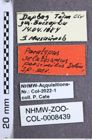 Etikette zu Selatosomus (Warchalowskia) persimilis (Dolin, 1982) (NHMW-ZOO-COL-0008439)